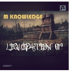 M Knowledge - Liquidation