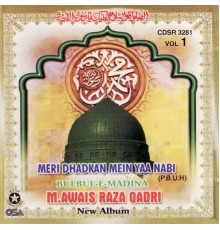 M Owais Raza Qadri - Bulbul-e-Madina