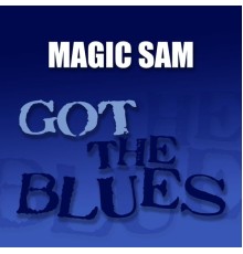 Magic Sam - Got the Blues