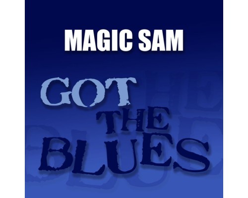 Magic Sam - Got the Blues