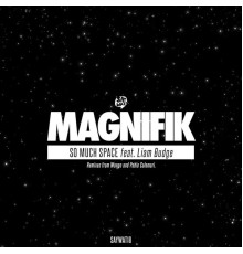 Magnifik - So Much Space