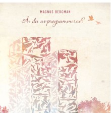 Magnus Bergman - Är Du Avprogrammerad