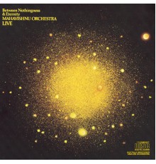 Mahavishnu Orchestra - Between Nothingness & Eternity