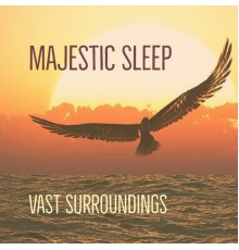 Majestic Sleep - Vast Surroundings