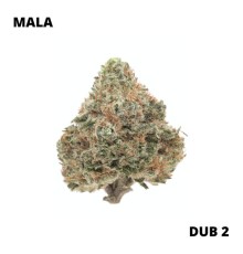 Mala - DUB 2