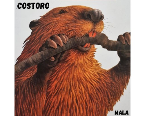 Mala - Costoro