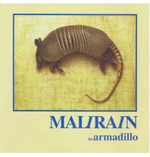 Mali Rain - The Armadillo