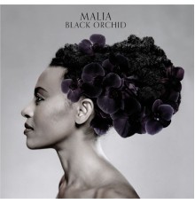 Malia - Black Orchid