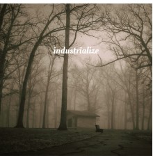 Malicdem - industrialize