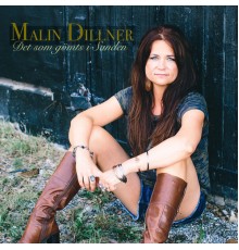 Malin Dillner - Det Som Gömts I Sanden