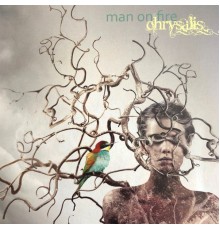 Man On Fire - Chrysalis