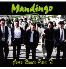 Mandingo - Como Nunca Para Tí