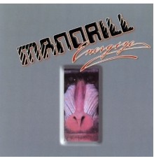 Mandrill - Energize