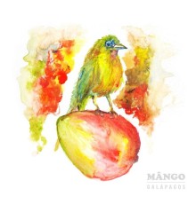 Mango - Galápagos