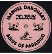 Manuel Darquart - birds of paradiso