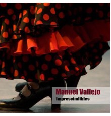 Manuel Vallejo - Imprescindibles