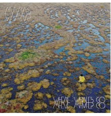 Maras - Where Whales Go