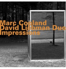 Marc Copland & David Liebman - Marc Copland - David Liebman Duo: Impressions