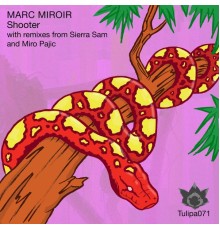 Marc Miroir - Shooter