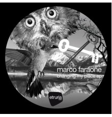 Marco Faraone - Changing My Place