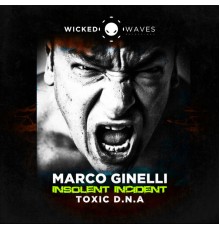 Marco Ginelli - Insolent Incident