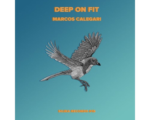 Marcos Calegari - Deep on Fit