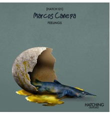 Marcos Canepa - Feelings