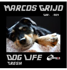 Marcos Grijo - Dog Life