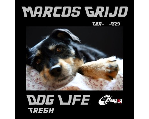 Marcos Grijo - Dog Life