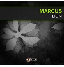 Marcus - Lion