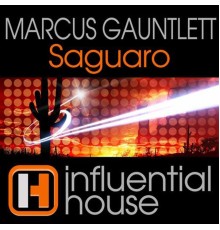 Marcus Gauntlett - Saguaro