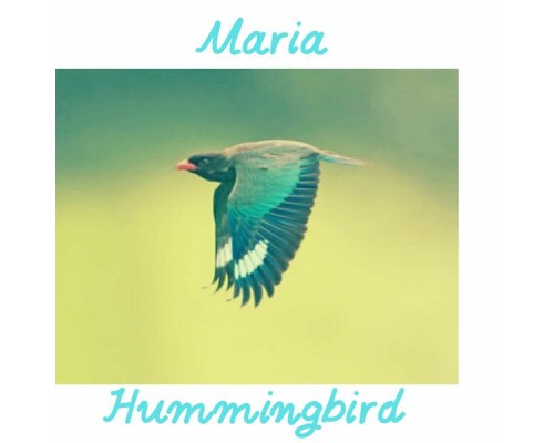 Maria - Hummingbird