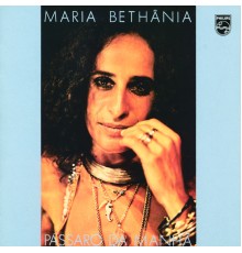 Maria Bethânia - Pássaro Da Manhã