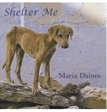 Maria Daines - Shelter Me