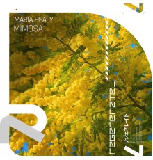 Maria Healy - Mimosa