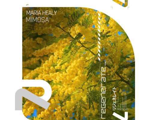 Maria Healy - Mimosa