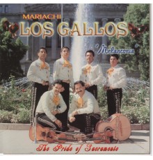 Mariachi Los Gallos - Melanconia