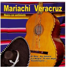 Mariachi Veracruz - Mexico Con Sentimento