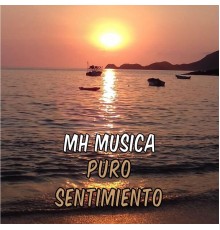 Mario Hurtado Musica - Puro Sentimiento