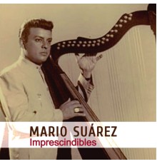 Mario Suarez - Imprescindibles