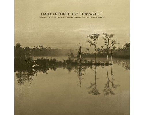 Mark Lettieri - Fly Through It