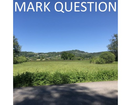 Mark Question - Mark Question