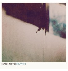 Markus Reuter - Gratitude