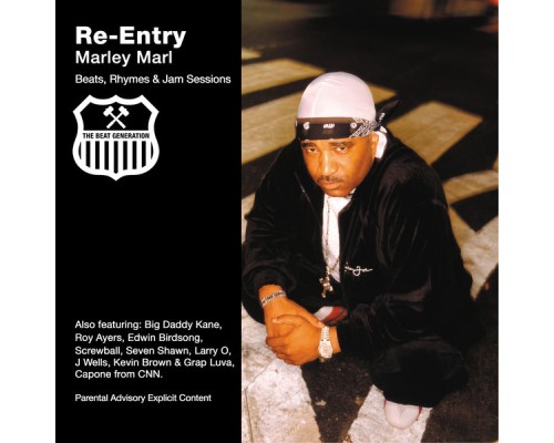 Marley Marl - Re-Entry