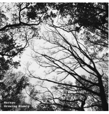 Marnyc - Growing Slowly