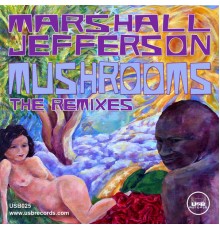 Marshall Jefferson - Mushrooms (The Remixes)