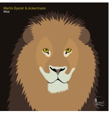 Martin Eyerer &  Ackermann - What