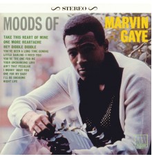 Marvin Gaye - Moods Of Marvin Gaye