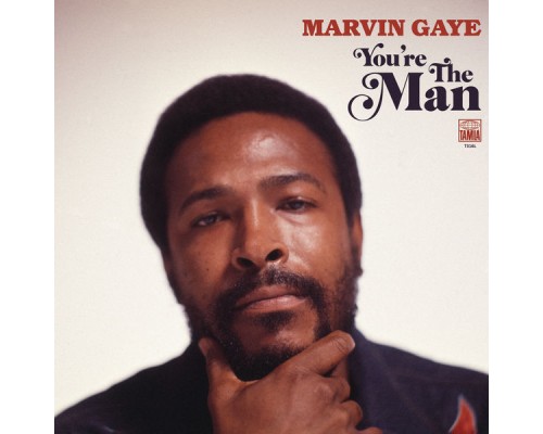 Marvin Gaye - You're The Man