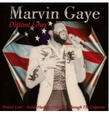 Marvin Gaye - Distant Lover